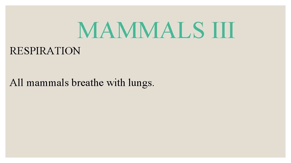 MAMMALS III RESPIRATION All mammals breathe with lungs. 