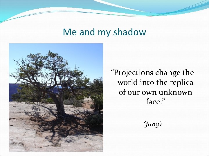 Me and my shadow “Projections change the world into the replica of our own