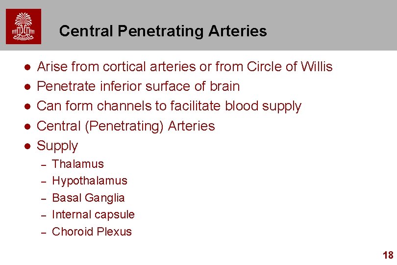 Central Penetrating Arteries l l l Arise from cortical arteries or from Circle of