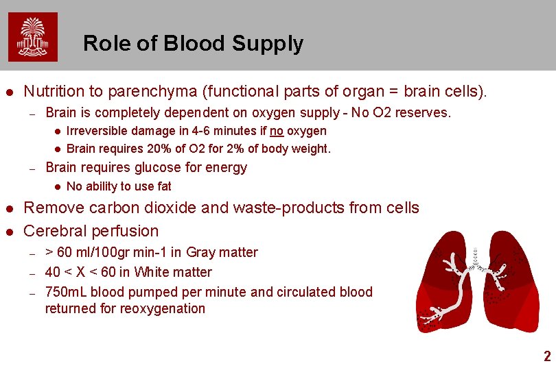 Role of Blood Supply l Nutrition to parenchyma (functional parts of organ = brain