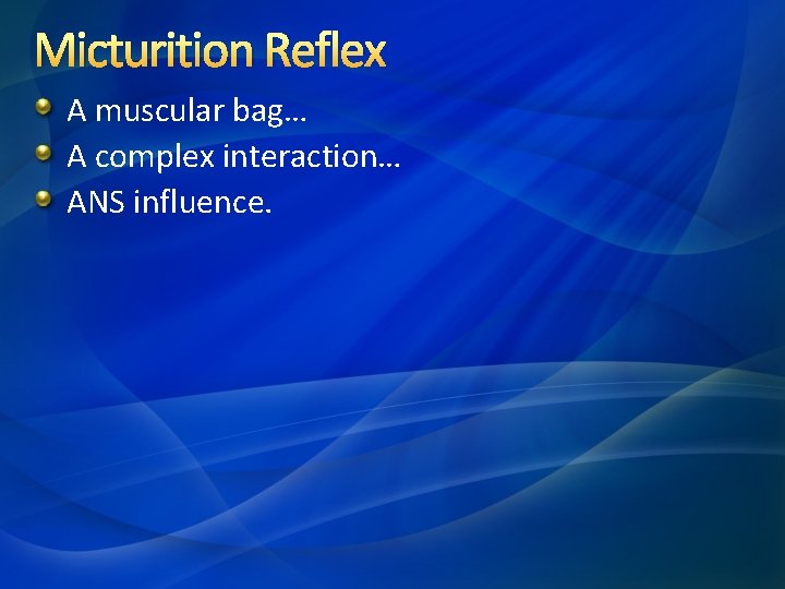 Micturition Reflex A muscular bag… A complex interaction… ANS influence. 