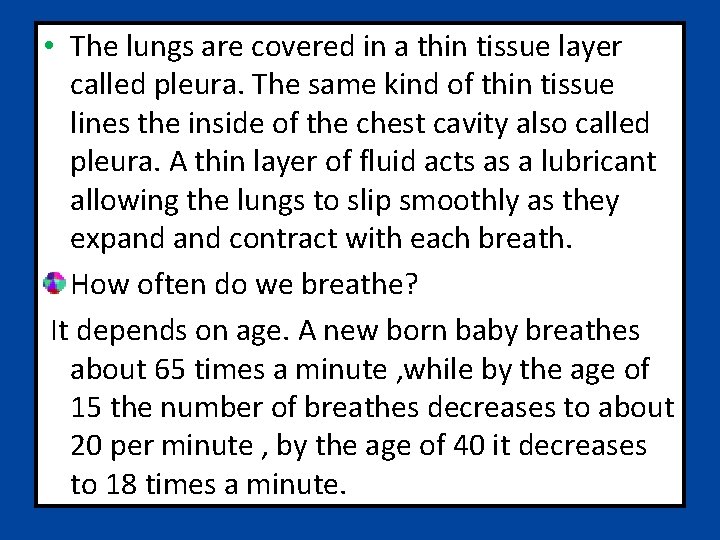  • The lungs are covered in a thin tissue layer called pleura. The