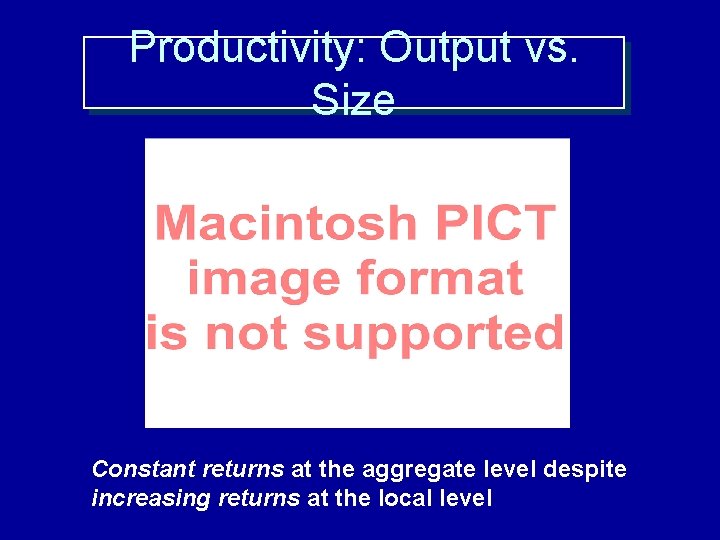 Productivity: Output vs. Size Constant returns at the aggregate level despite increasing returns at