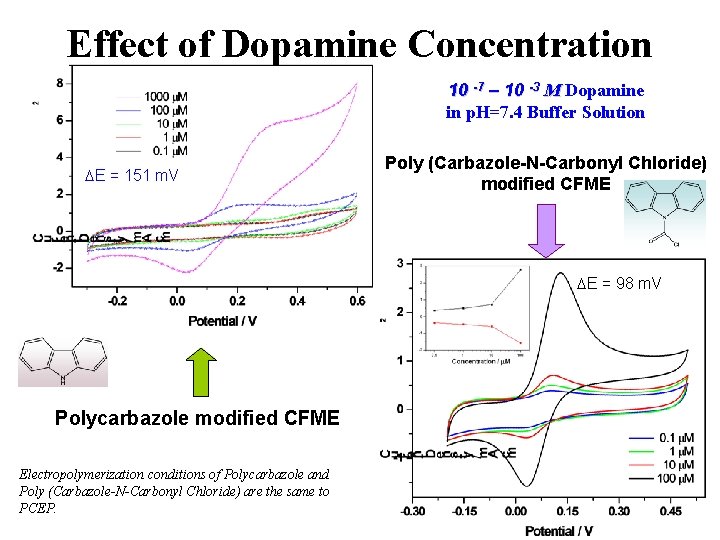 Effect of Dopamine Concentration 10 -7 – 10 -3 M Dopamine in p. H=7.