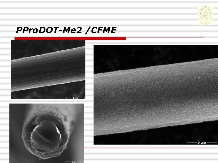 PPro. DOT-Me 2 /CFME 