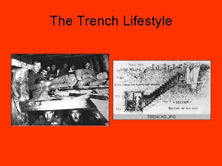 The Trench Lifestyle 