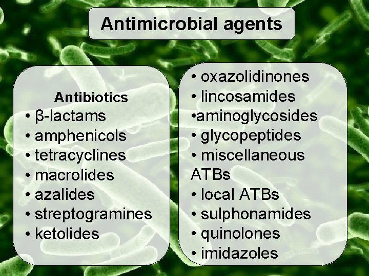 Antimicrobial agents Antibiotics • β-lactams • amphenicols • tetracyclines • macrolides • azalides •