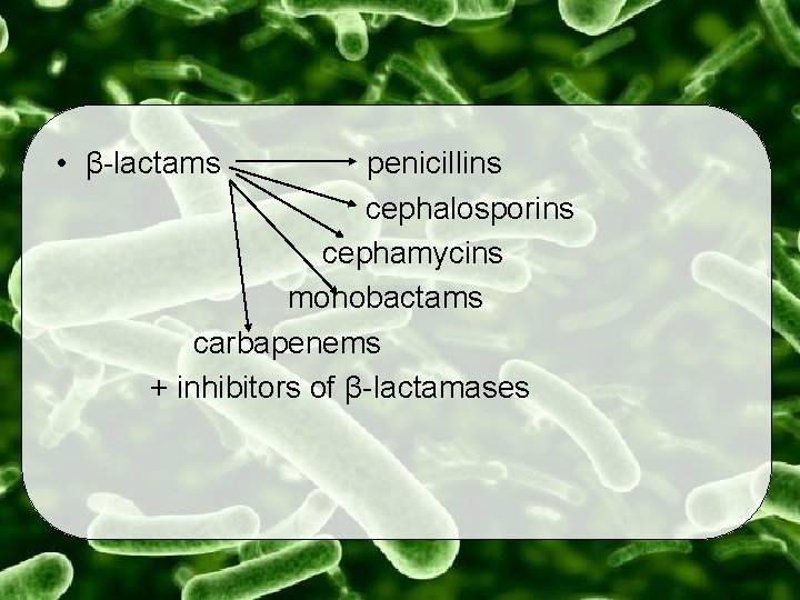  • β-lactams penicillins cephalosporins cephamycins monobactams carbapenems + inhibitors of β-lactamases 