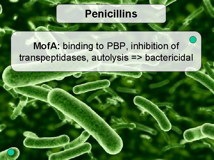 Penicillins Mof. A: binding to PBP, inhibition of transpeptidases, autolysis => bactericidal 