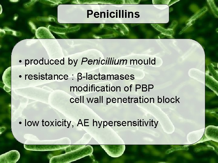 Penicillins • produced by Penicillium mould • resistance : β-lactamases modification of PBP cell