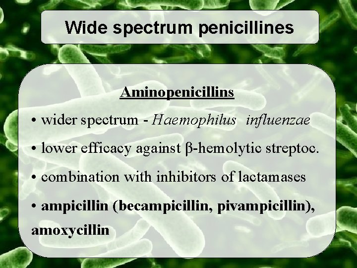 Wide spectrum penicillines Aminopenicillins • wider spectrum - Haemophilus influenzae • lower efficacy against