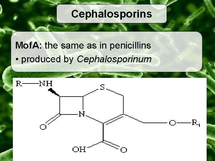 Cephalosporins Mof. A: the same as in penicillins • produced by Cephalosporinum 