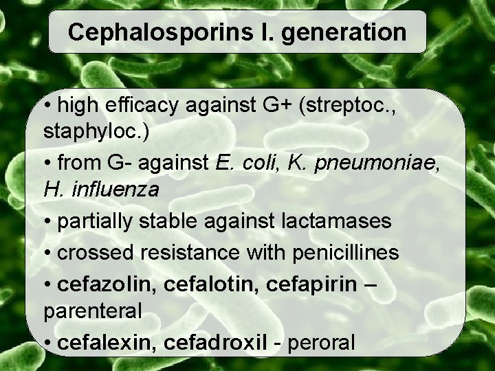 Cephalosporins I. generation • high efficacy against G+ (streptoc. , staphyloc. ) • from