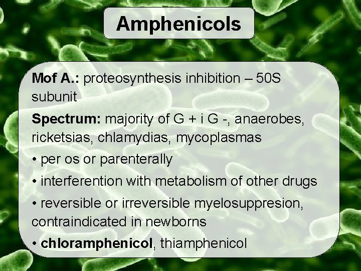 Amphenicols Mof A. : proteosynthesis inhibition – 50 S subunit Spectrum: majority of G