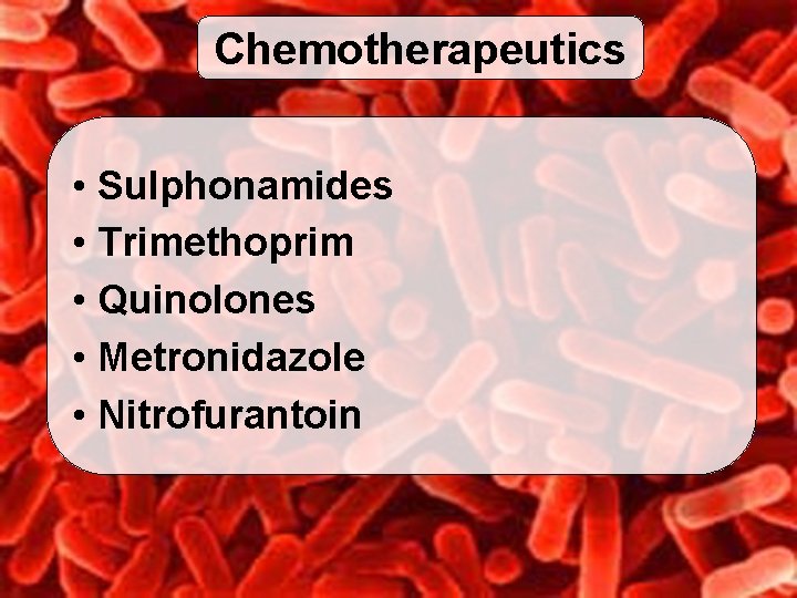 Chemotherapeutics • Sulphonamides • Trimethoprim • Quinolones • Metronidazole • Nitrofurantoin 