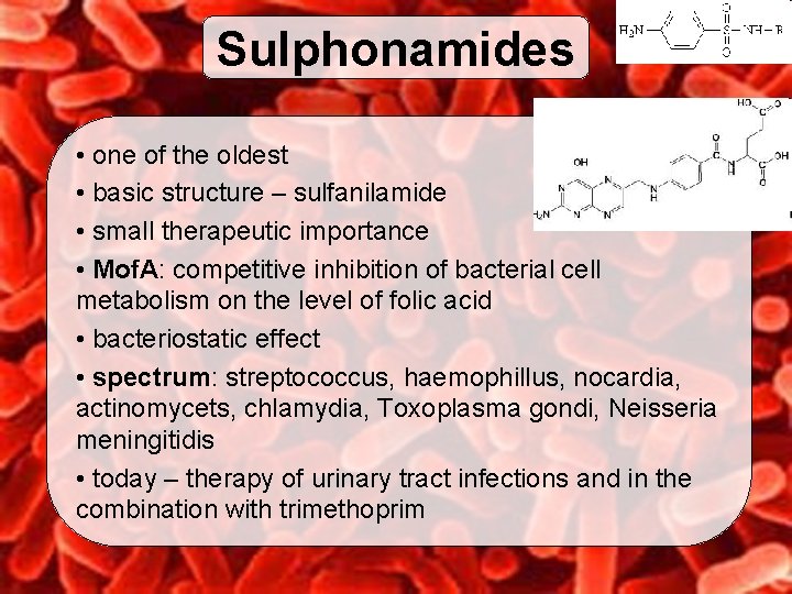 Sulphonamides • one of the oldest • basic structure – sulfanilamide • small therapeutic