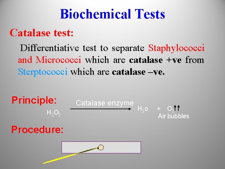 Biochemical Tests Catalase test: Differentiative test to separate Staphylococci and Micrococci which are catalase