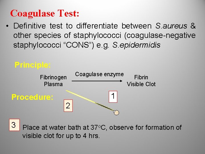 Coagulase Test: • Definitive test to differentiate between S. aureus & other species of