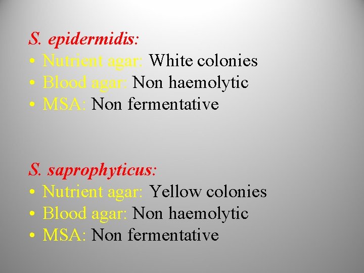 S. epidermidis: • Nutrient agar: White colonies • Blood agar: Non haemolytic • MSA: