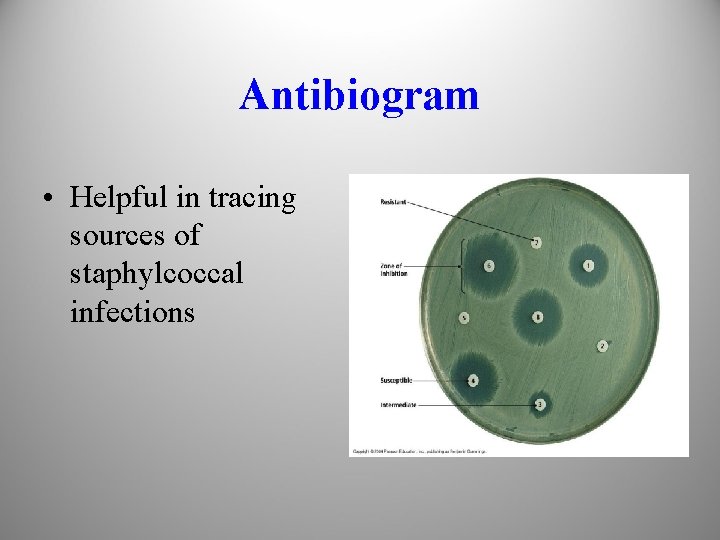 Antibiogram • Helpful in tracing sources of staphylcoccal infections 