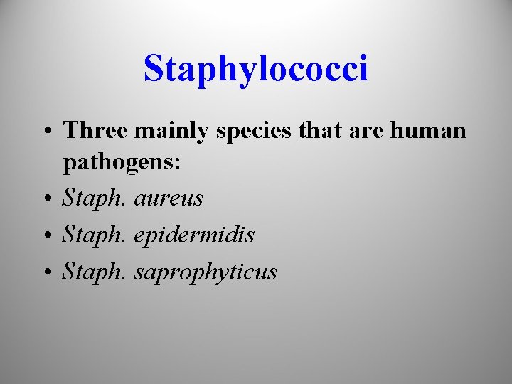 Staphylococci • Three mainly species that are human pathogens: • Staph. aureus • Staph.