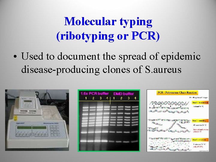 Molecular typing (ribotyping or PCR) • Used to document the spread of epidemic disease-producing