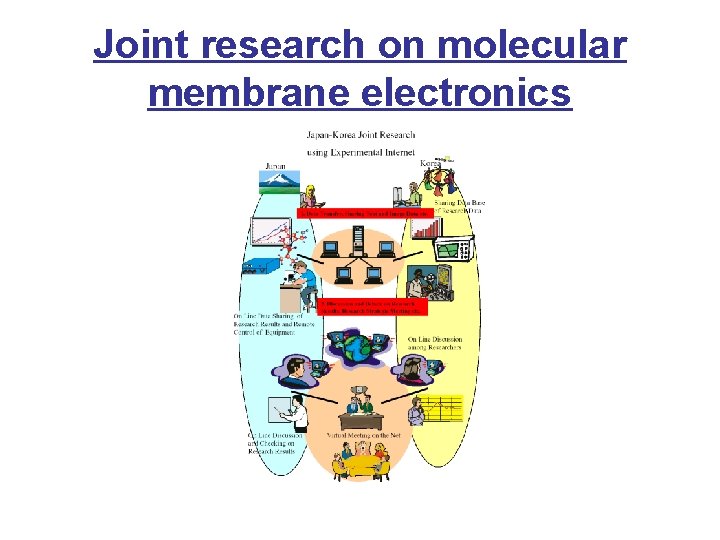 Joint research on molecular membrane electronics 