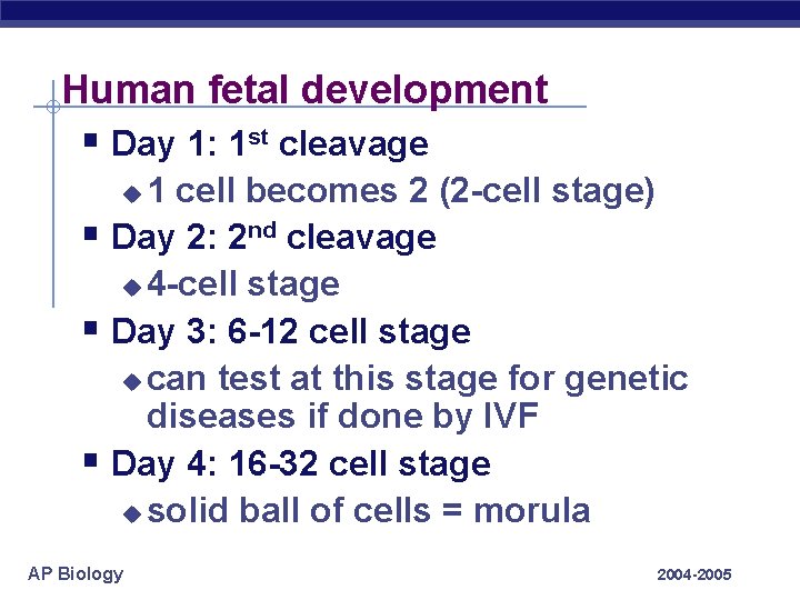 Human fetal development § Day 1: 1 st cleavage 1 cell becomes 2 (2