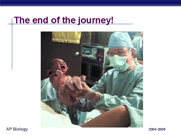 The end of the journey! AP Biology 2004 -2005 
