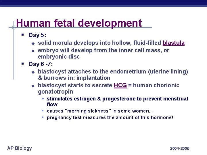 Human fetal development § Day 5: solid morula develops into hollow, fluid-filled blastula u