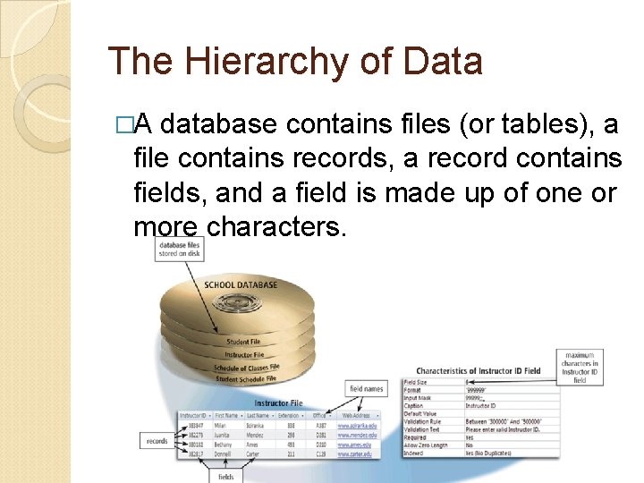 The Hierarchy of Data �A database contains files (or tables), a file contains records,