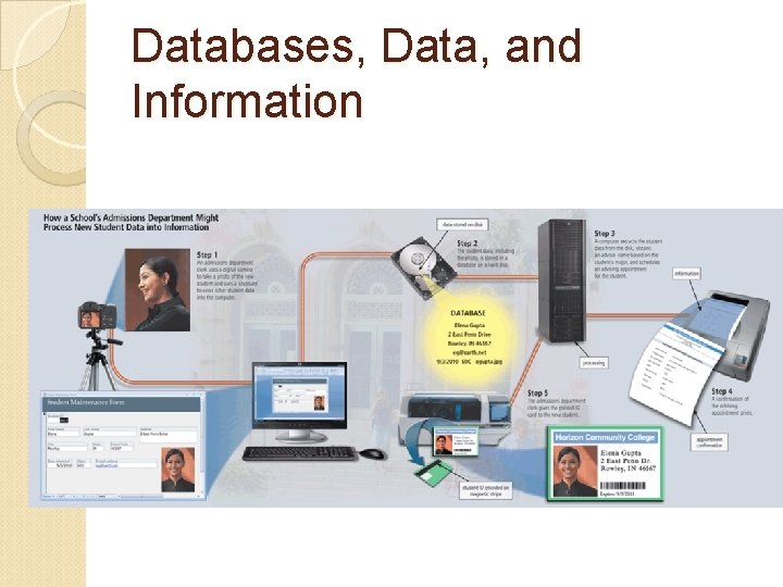 Databases, Data, and Information 