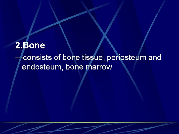 2. Bone ---consists of bone tissue, periosteum and endosteum, bone marrow 