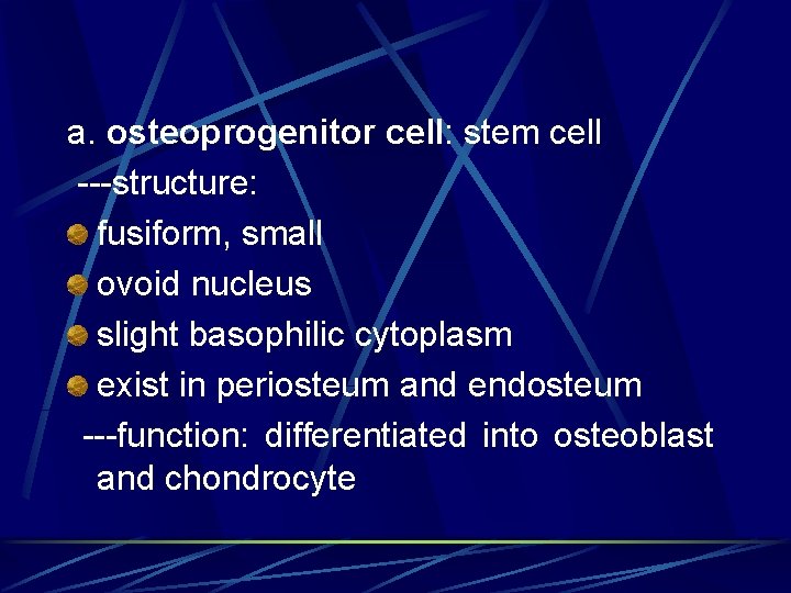 a. osteoprogenitor cell: stem cell ---structure: fusiform, small ovoid nucleus slight basophilic cytoplasm exist