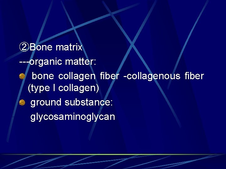 ②Bone matrix ---organic matter: bone collagen fiber -collagenous fiber (type I collagen) ground substance: