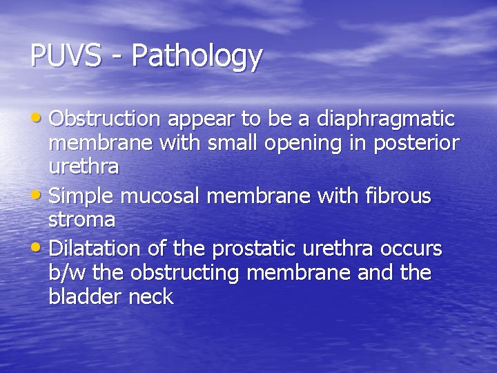 PUVS - Pathology • Obstruction appear to be a diaphragmatic membrane with small opening