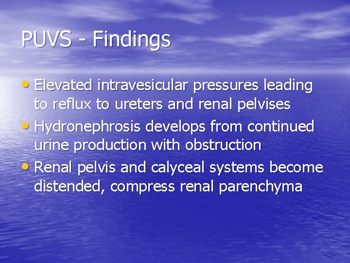 PUVS - Findings • Elevated intravesicular pressures leading to reflux to ureters and renal