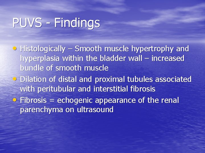 PUVS - Findings • Histologically – Smooth muscle hypertrophy and • • hyperplasia within