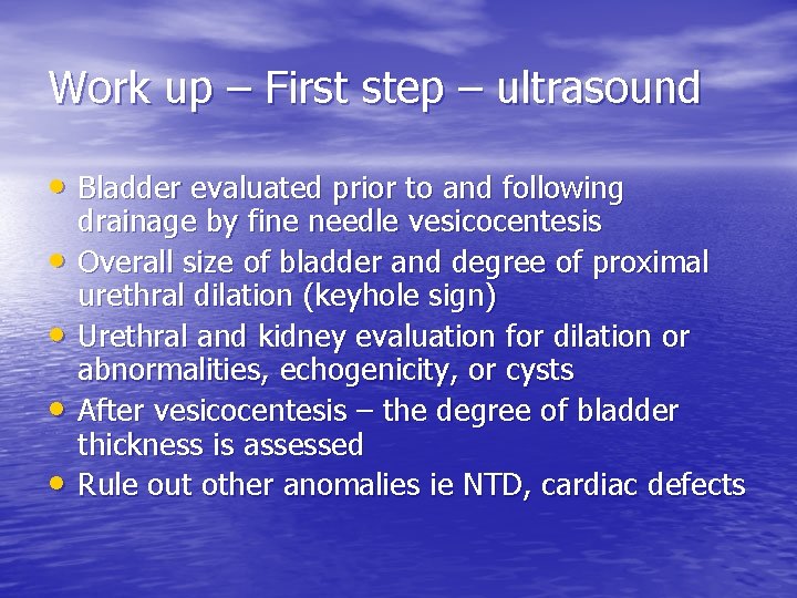 Work up – First step – ultrasound • Bladder evaluated prior to and following