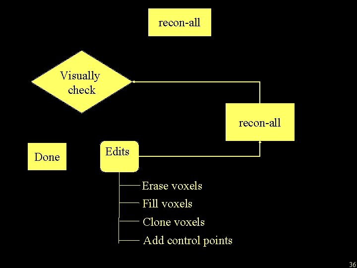 recon-all Visually check recon-all Done Edits Erase voxels Fill voxels Clone voxels Add control