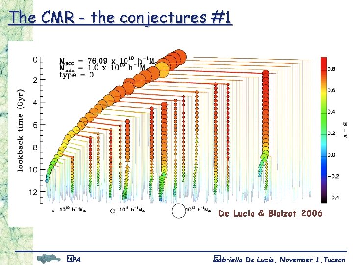 The CMR - the conjectures #1 d A monolithic collapse occuring at high redshift