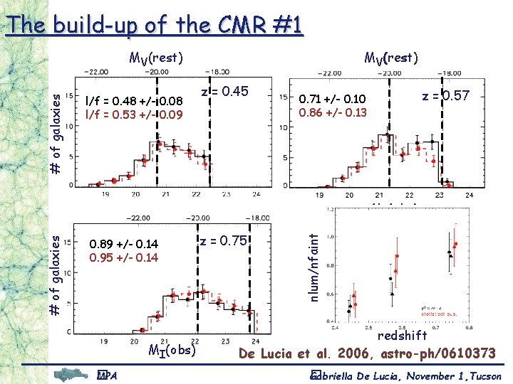 The build-up of the CMR #1 # of galaxies MV(rest) l/f = 0. 48