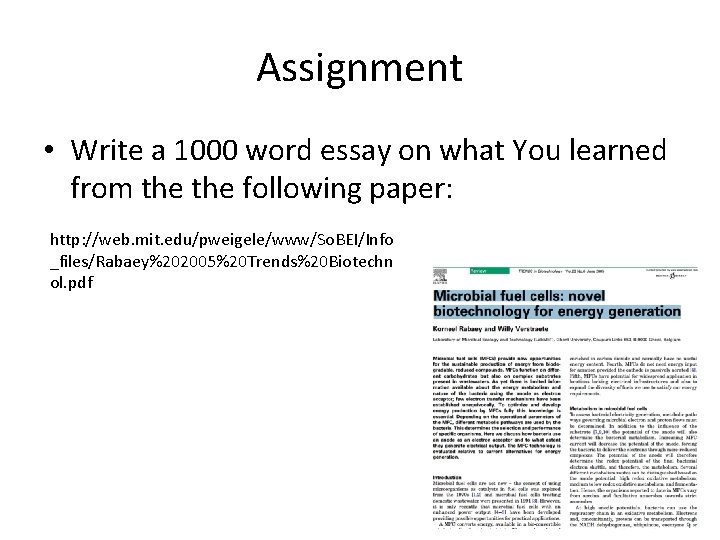 Assignment • Write a 1000 word essay on what You learned from the following