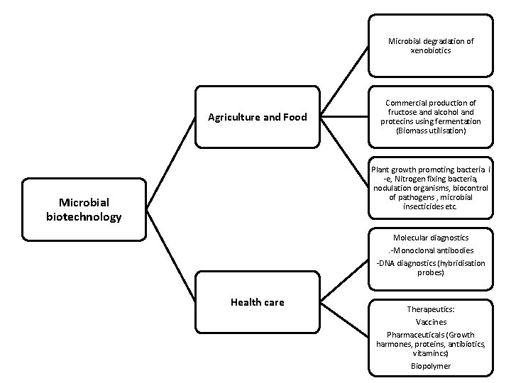 Microbial degradation of xenobiotics Agriculture and Food Commercial production of fructose and alcohol and