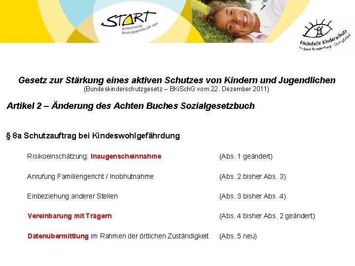 Gesetz zur Stärkung eines aktiven Schutzes von Kindern und Jugendlichen (Bundeskinderschutzgesetz – BKi. Sch.