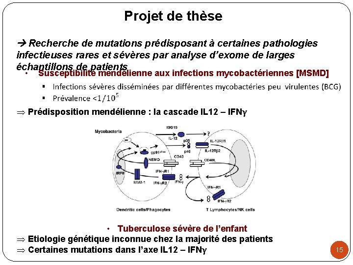 Projet de thèse Recherche de mutations prédisposant à certaines pathologies infectieuses rares et sévères