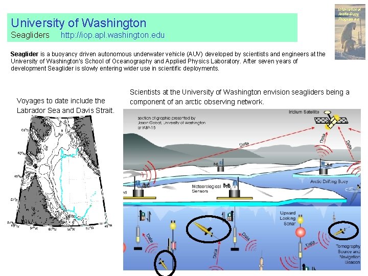 University of Washington Seagliders International Arctic Buoy Programme http: //iop. apl. washington. edu Seaglider