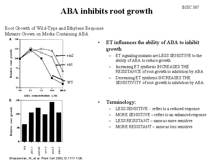 ABA inhibits root growth BISC 367 Root Growth of Wild-Type and Ethylene Response Mutants