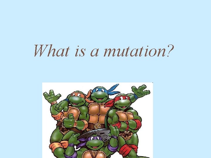 What is a mutation? 