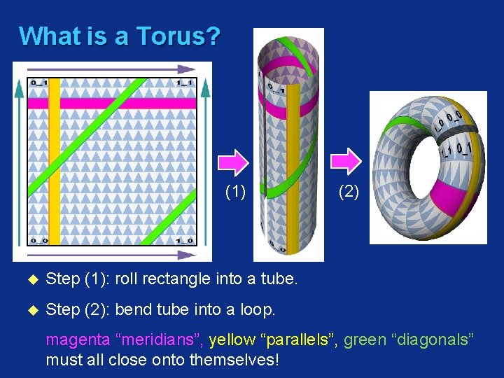 What is a Torus? (1) u Step (1): roll rectangle into a tube. u